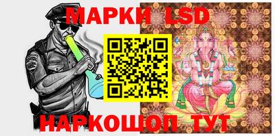 дмт Краснодар